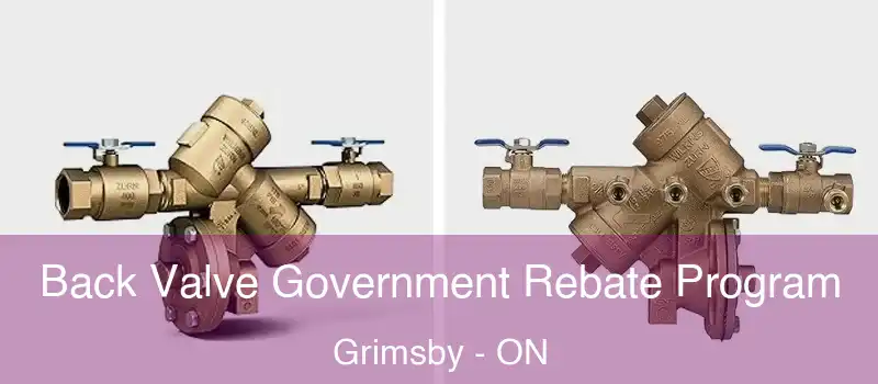  Back Valve Government Rebate Program Grimsby - ON