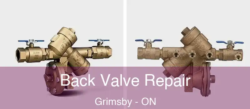  Back Valve Repair Grimsby - ON