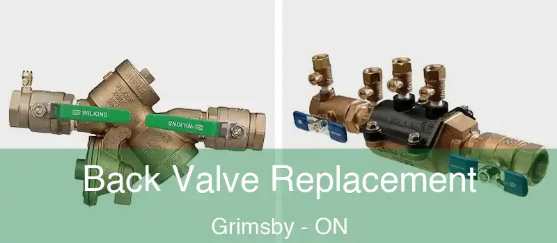  Back Valve Replacement Grimsby - ON