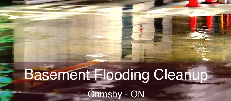 Basement Flooding Cleanup Grimsby - ON