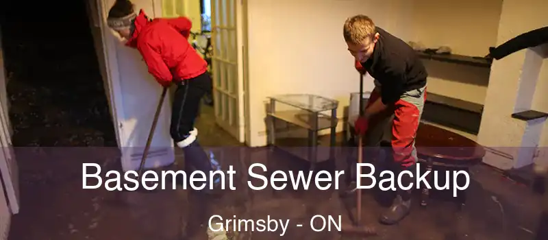  Basement Sewer Backup Grimsby - ON