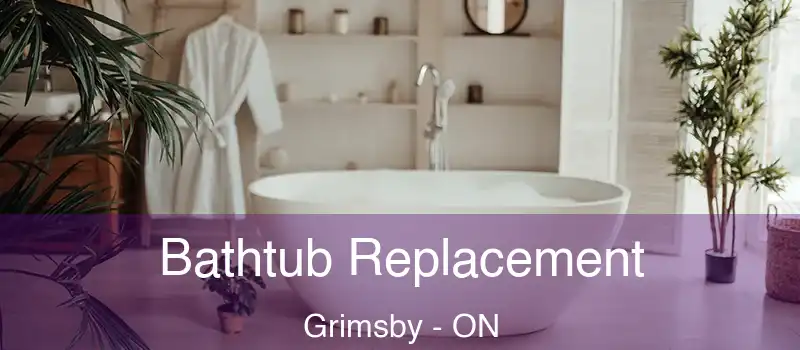  Bathtub Replacement Grimsby - ON