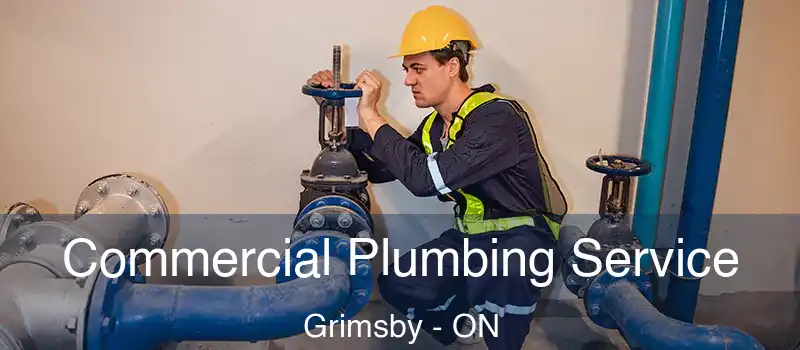  Commercial Plumbing Service Grimsby - ON