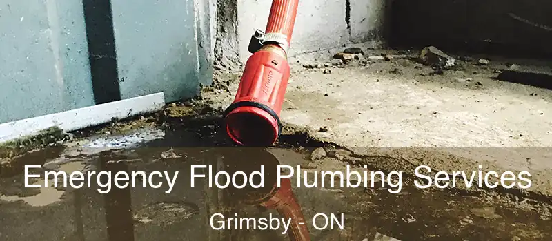 Emergency Flood Plumbing Services Grimsby - ON