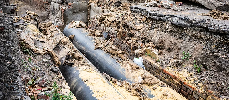 Commercial Sewer Tree Roots Damage Solutions in Grimsby, ON