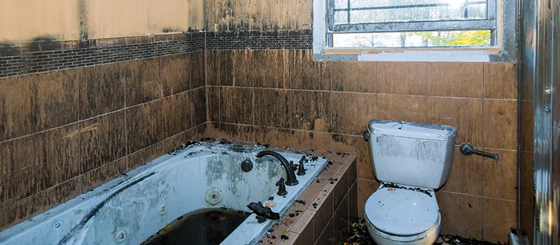Residential Water Damage Restoration in Grimsby, ON