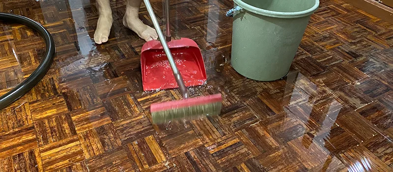 Water Removal And Restoration Services in Grimsby, ON