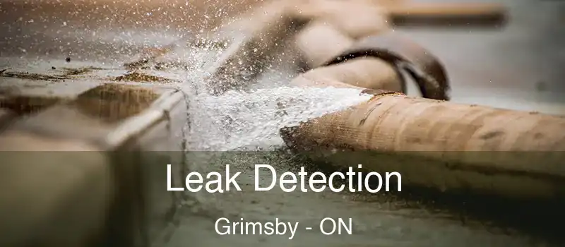  Leak Detection Grimsby - ON