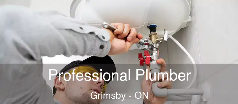  Professional Plumber Grimsby - ON