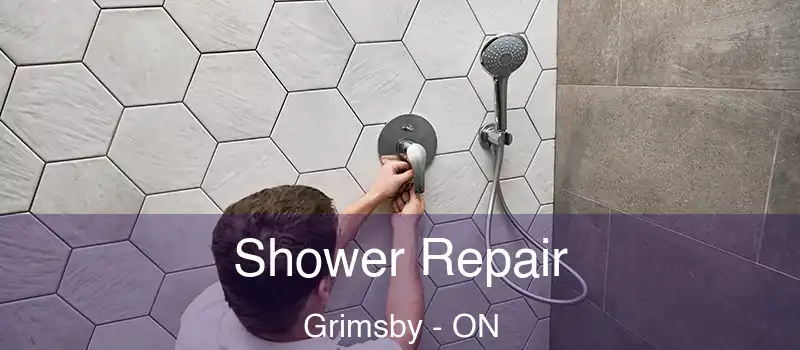  Shower Repair Grimsby - ON