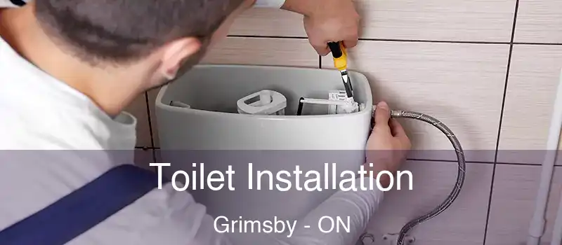  Toilet Installation Grimsby - ON
