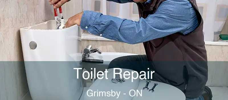  Toilet Repair Grimsby - ON