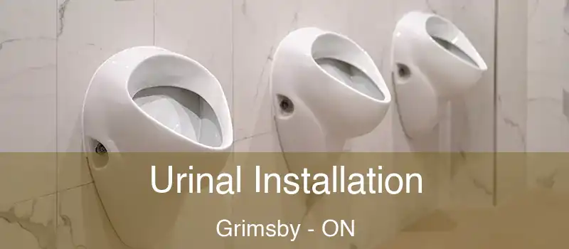  Urinal Installation Grimsby - ON