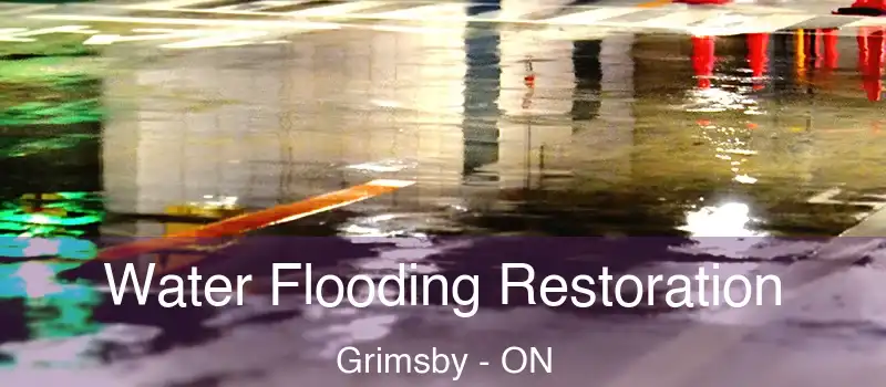  Water Flooding Restoration Grimsby - ON