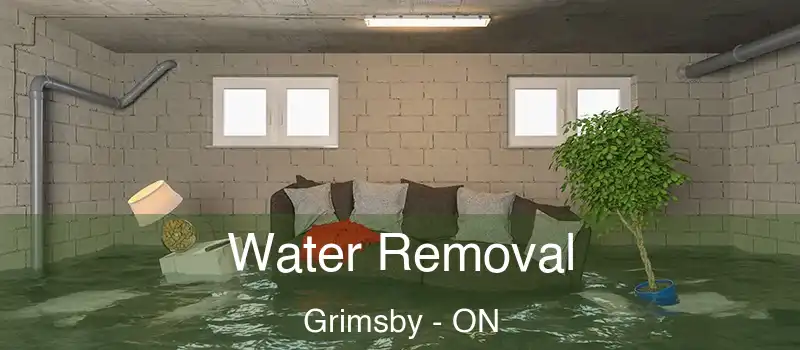  Water Removal Grimsby - ON